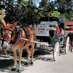 Horse Carriages
