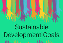 The Importance of Positive Impacts Within Sustainable Finance Sustainable Finance