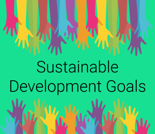 The Importance of Positive Impacts Within Sustainable Finance Sustainable Finance