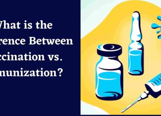 What is the Difference Between Vaccination vs. Immunization? Vaccination vs. Immunization
