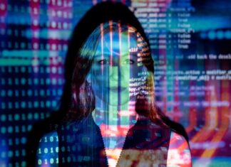 Beginner’s Guide to the AI and Machine Learning Model