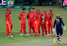 Profitable Fantasy Cricket Apps to Play in India Cricket