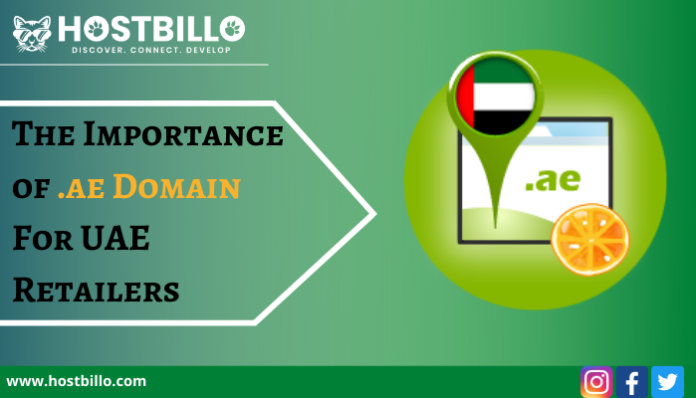 The Importance of .ae Domain For UAE Retailers