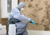 Black Mold Testing 