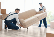Reasons Why You Must Hire a Professional Moving Company in Tampa Professional Moving Company