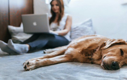 Is Pet Insurance Worth It? A Guide for Modern Pet Owners Pet insurance